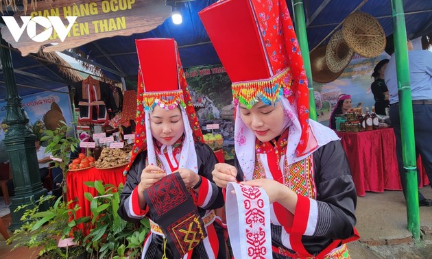 Frauen der Dao Thanh Phan und ihre Liebe zur traditionellen Stickerei