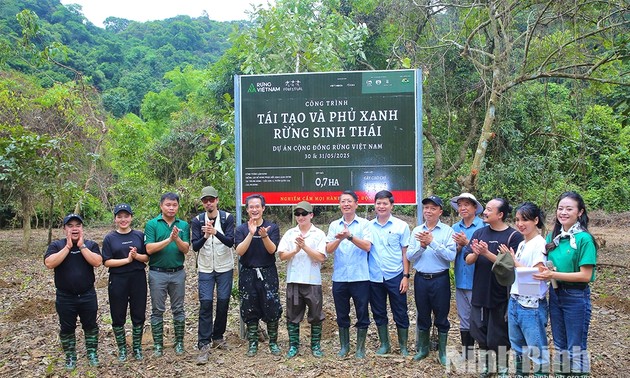 Forestival 2025 – Vietnams Wälder: Hunderte Setzlinge im Cuc Phuong-Wald gepflanzt