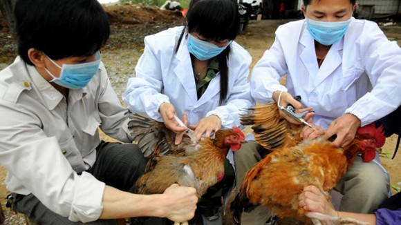 H7N9 merupakan salah satu virus yang paling mudah mengakibatkan kematian