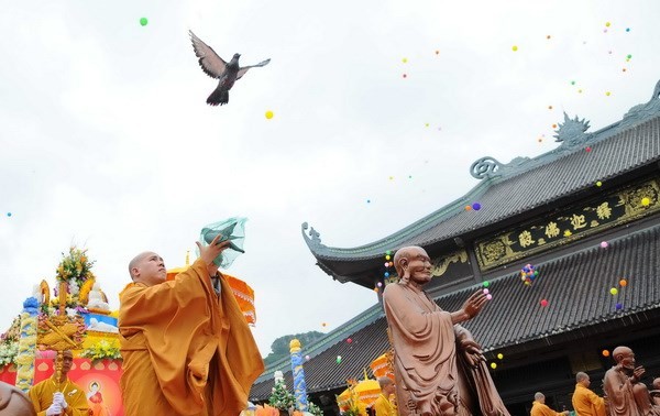 Program pertunjukan kebudayaan dan keseniaan Buddhis internasional dengan tema: “Inti teratai dalam hati Sang Buddha