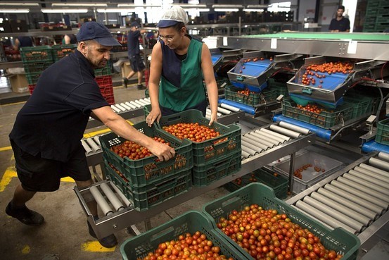 Uni Eropa mengucurkan modal untuk pos bantuan untuk petani yang terpengaruh akibat perintah larangan impor dari Rusia