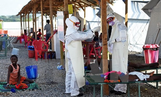 Afrika berbagi pengalaman dalam mencegah dan memberantas wabah Ebola