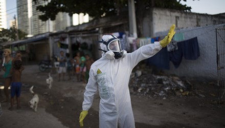 Vietnam belum mencatat pasien kejangkitan virus Zika