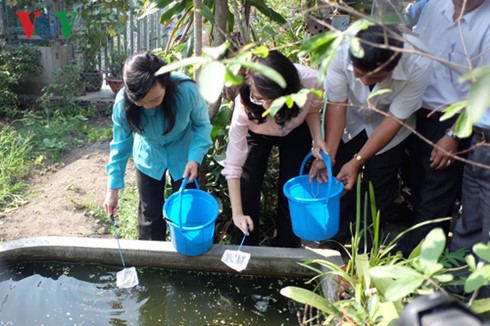 Kementerian Kesehatan Vietnam mencanangkan kampanye penanggulangan wabah penyakit akibat virus Zika dan demam berdarah