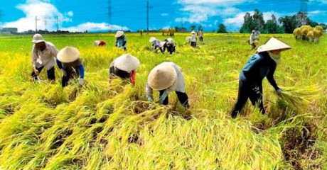 Media Argentina mengapresiasi prestasi pengentasan dari kelaparan dan kemiskinan yang telah dicapai Vietnam