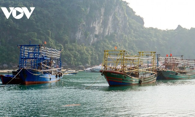 Peranan Daerah-Daerah dalam Penanggulangan Eksploitasi IUU Dikembangkan