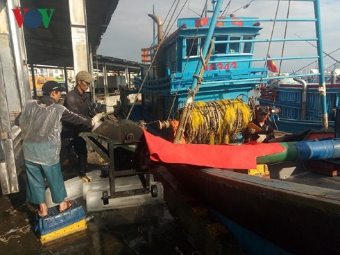 Fishermen set sail in New Year