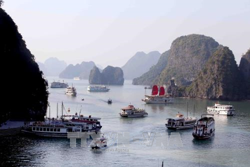 Ha Long-Cat Ba Alliance discusses waste water, tourism management