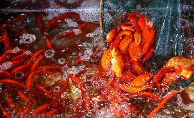 Kitchen Gods ceremony a tradition of Tet