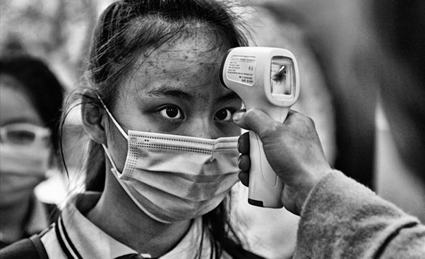 Vietnamese photographers win prizes at Spanish photo contest