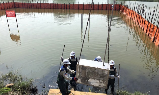 Применение японских технологий в очистке водоёмов в провинции Куангнинь