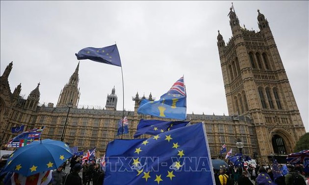 Мнения общественности Великобритании об итогах голосования по Brexit в Палате общин британского парламента