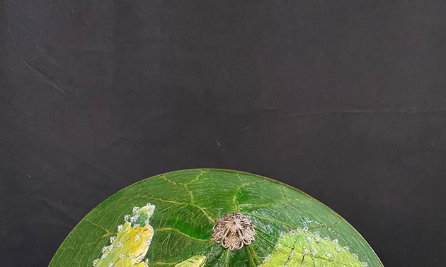 Вьетнамские стартапы вместе с правительством добиваются цели «Ноль отходов»