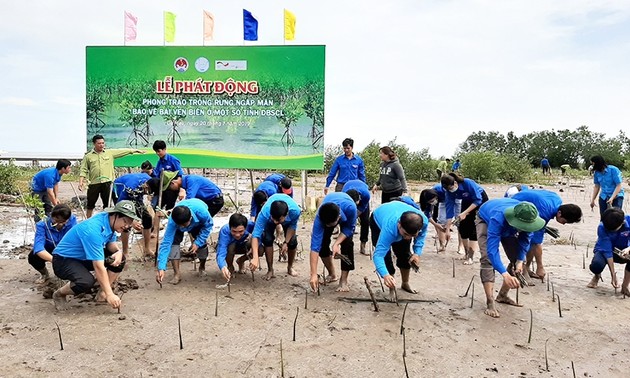 Phát động trồng rừng, bảo vệ bờ biển tại Cà Mau