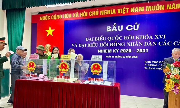 Kiều bào gửi gắm niềm tin qua lá phiếu