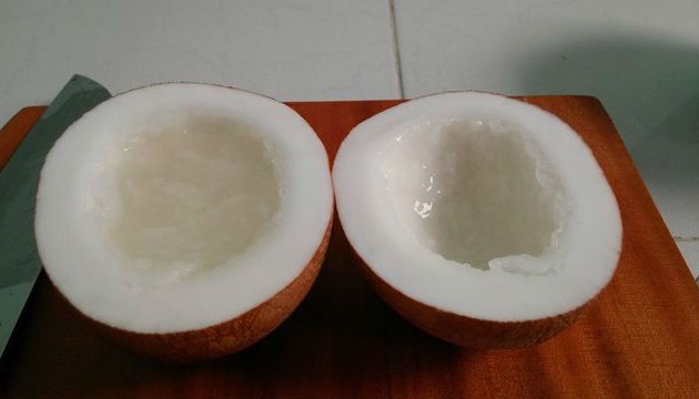 Kelapa kopyor di Vietnam