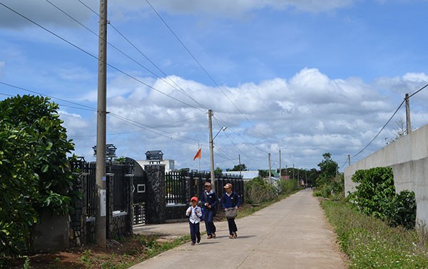Kecamatan Da Ron menerapkan pertanian berteknologi tinggi dalam pembangunan pedesaan baru