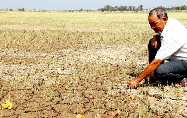 Menjelaskan tentang situasi keasinan dan kekeringan di Vietnam