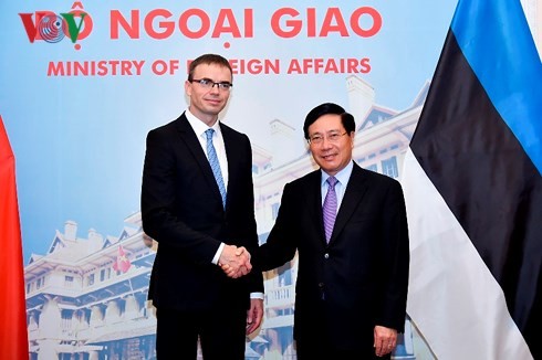 Pembicaraan antara Deputi PM, Menlu Pham Binh Minh dan Menlu Estonia, Sven Mikser