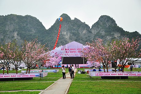 Festival “Mata hari terbit” di daerah Pusaka Teluk  Ha Long