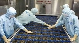 Vietnam opposes US shrimp lawsuit 