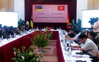 Increasing Vietnam-Mozambique investment efficiency 