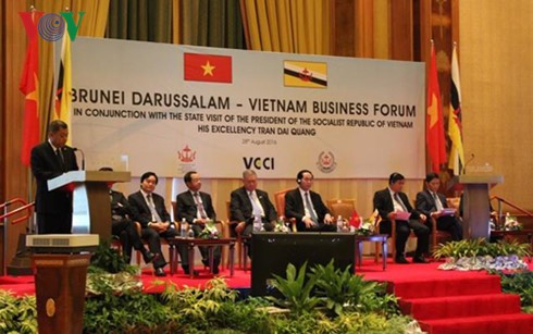 President Tran Dai Quang attends Vietnam-Brunei Business Forum