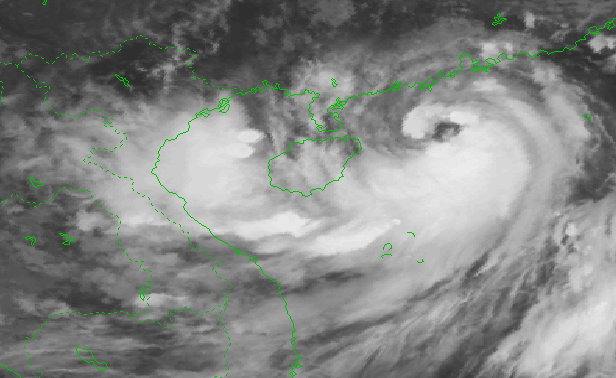 Typhoon Talim forecast to hit Quang Ninh, Hai Phong