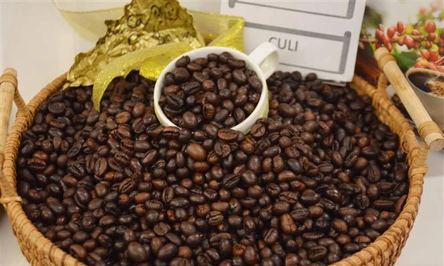   EU emerges as Vietnam's largest coffee market