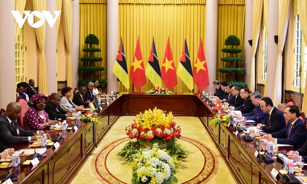 Vietnam, Mozambique hold high-level talks