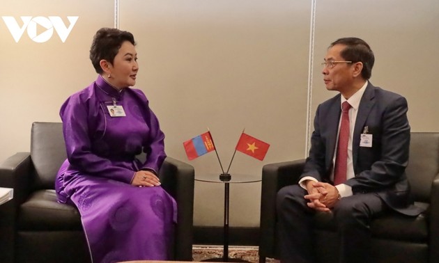 Deputy PM meets Mongolian FM at the UN 