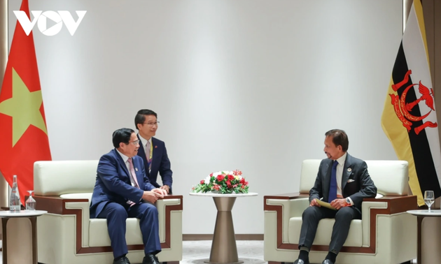 Vietnamese Prime Minister meets with Sultan of Brunei