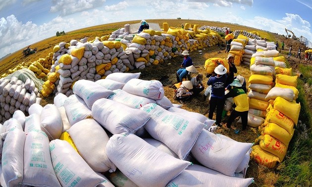 Vietnamese rice accounts for 80% of Philippines' total imports