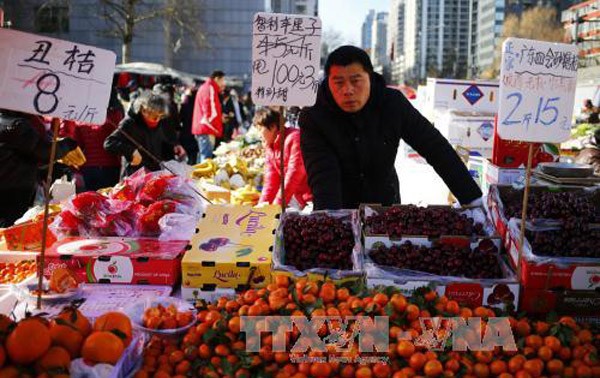 东盟和中国水果班轮直航航线正式开通  