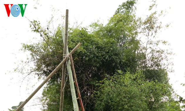 哈尼族人过雨季节的游戏——荡秋千