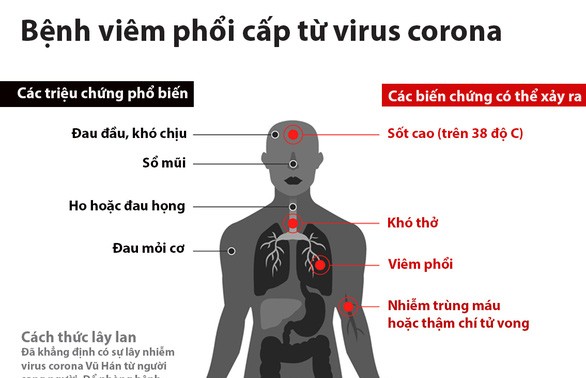 冠状病毒疫情：中国死亡人数继续增加