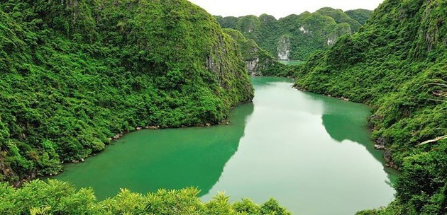 Чем заняться и что посмотреть в заливе Халонг?