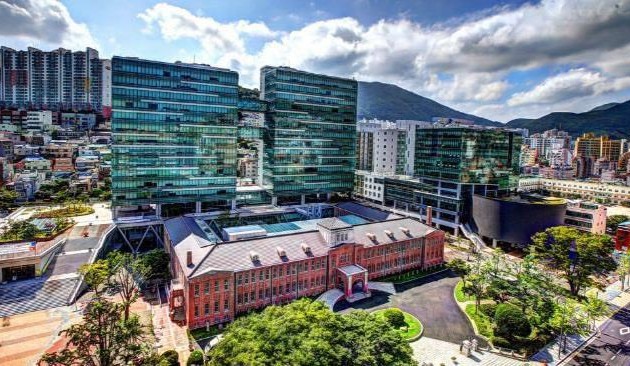 Вьетнамские студенты в Республике Корея распространяют прекрасный имидж страны и народа Вьетнама