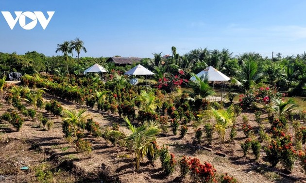 Приход весны в островную общину Тамхиеп (провинция Бенче) 