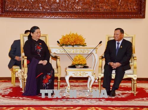 NA leader: Vietnam treasures relations with Cambodia