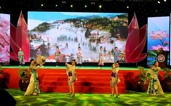 Fifth Vietnam-Japan cultural exchange festival ends