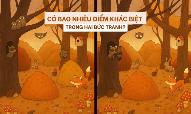 Câu đố dành cho người thuộc top tinh mắt nhất