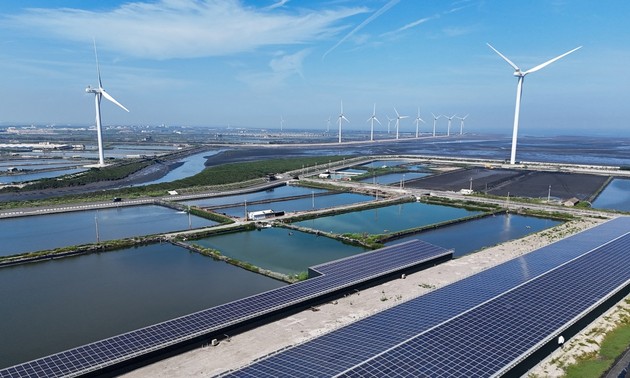 Năng lượng tái tạo: Điểm sáng trong cuộc chiến chống biến đổi khí hậu