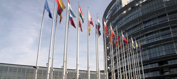 21 countries unanimously vote in European parliamentary elections 