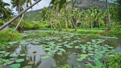 Con Dao National Park becomes Vietnam’s sixth Ramsar site