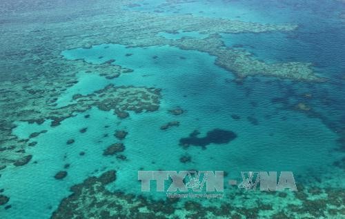 China destroys reefs to build artificial islands in the East Sea