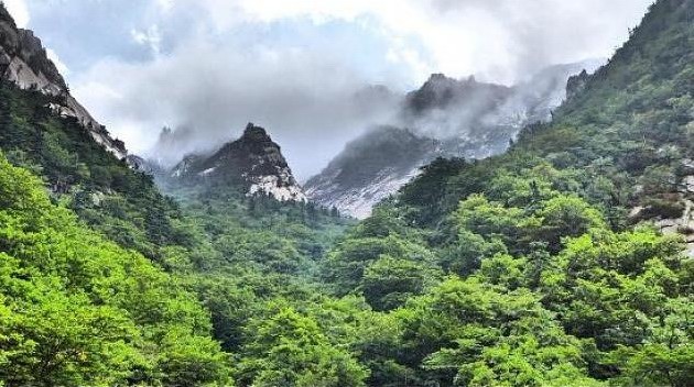 Two Koreas to hold joint New Year's event at Mt. Kumgang 