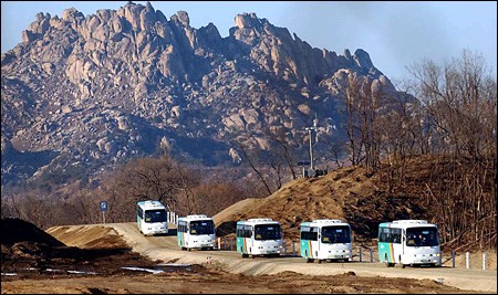 Two Koreas hold joint new year exchange in Mount Kumgang