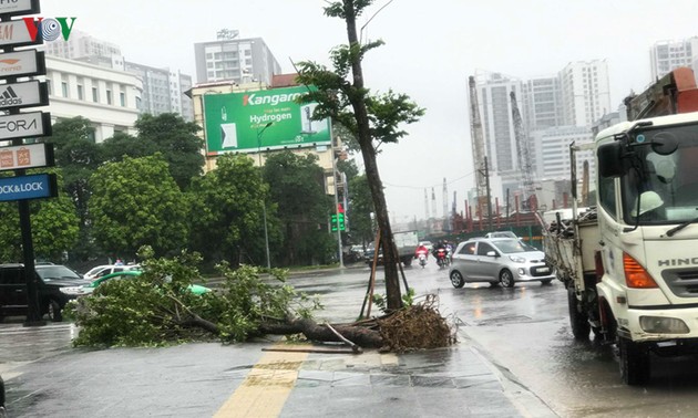 Storm Wipha lands in Quang Ninh, weakens to tropical depression