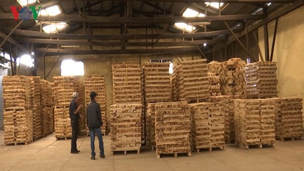 Vietnam sets 20 billion USD wood export target for 2025